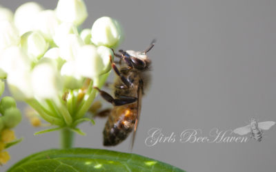 The Girls Were Ready For Their Close-up